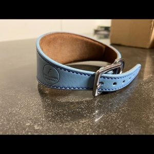 Dog collar from the trendy whippet